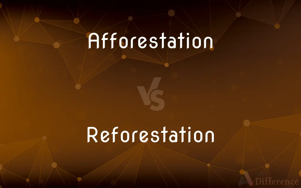 Afforestation vs. Reforestation — What's the Difference?