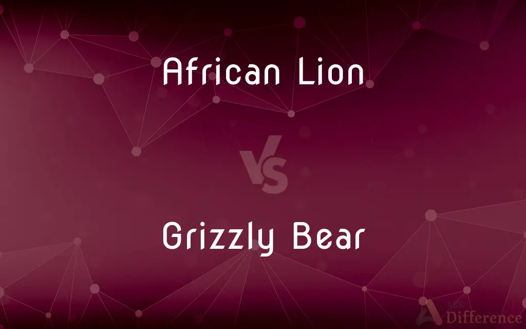 African Lion vs. Grizzly Bear — What's the Difference?