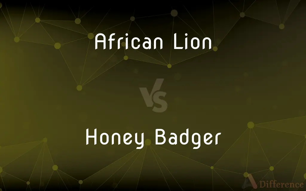 African Lion vs. Honey Badger — What's the Difference?
