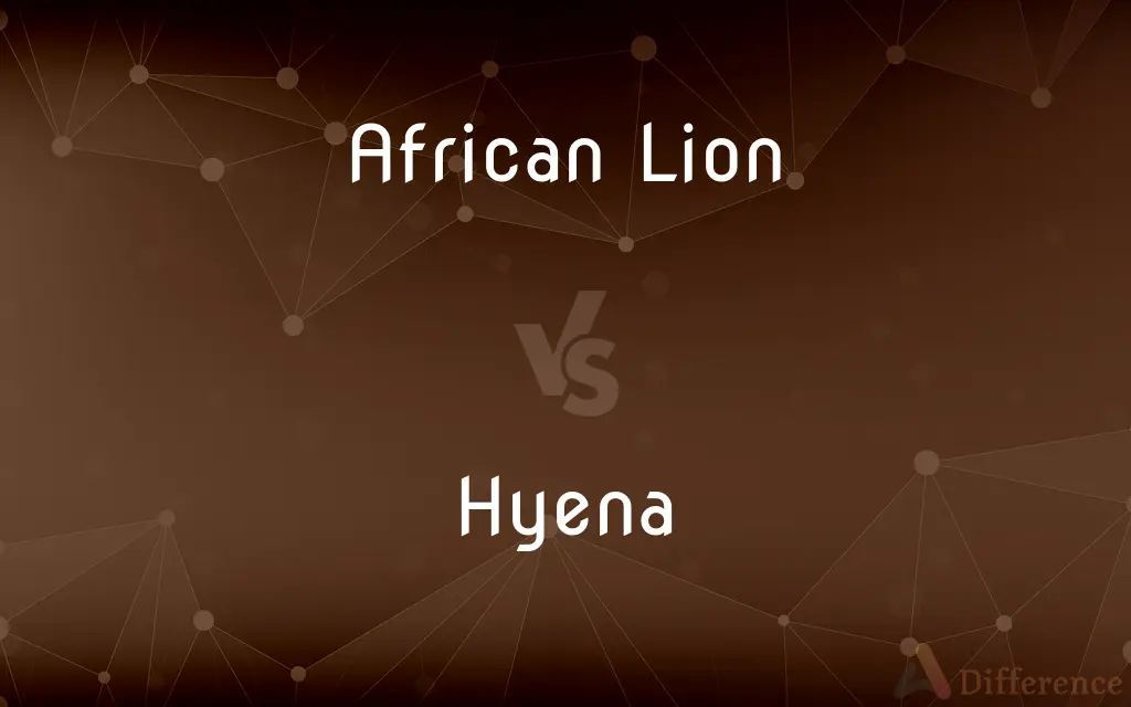 African Lion vs. Hyena — What's the Difference?