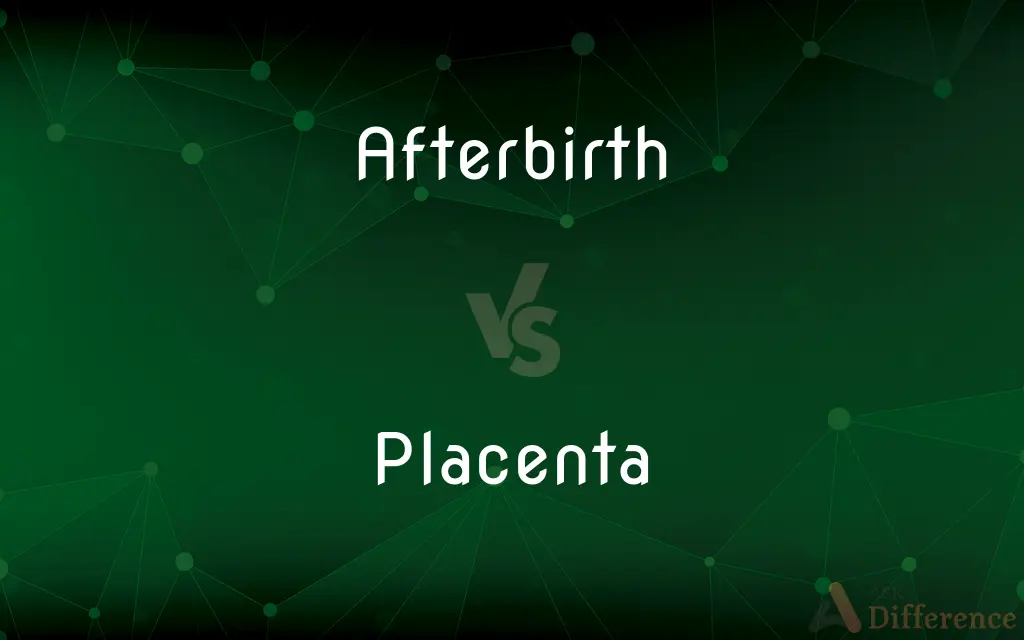 Afterbirth vs. Placenta — What's the Difference?
