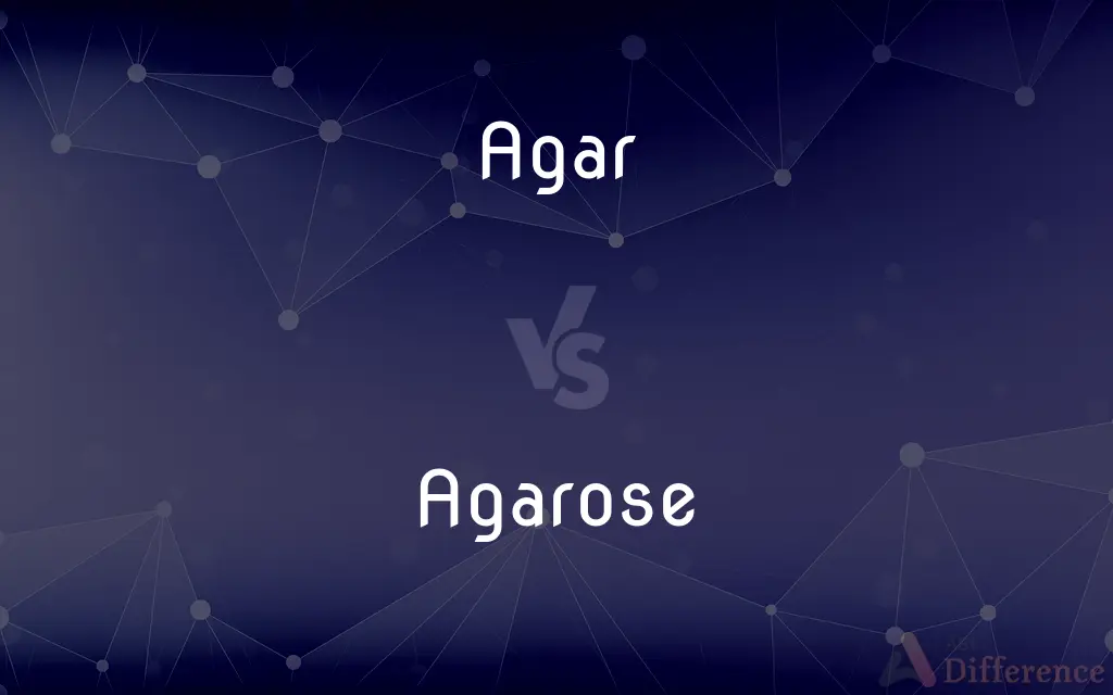 Agar vs. Agarose — What's the Difference?
