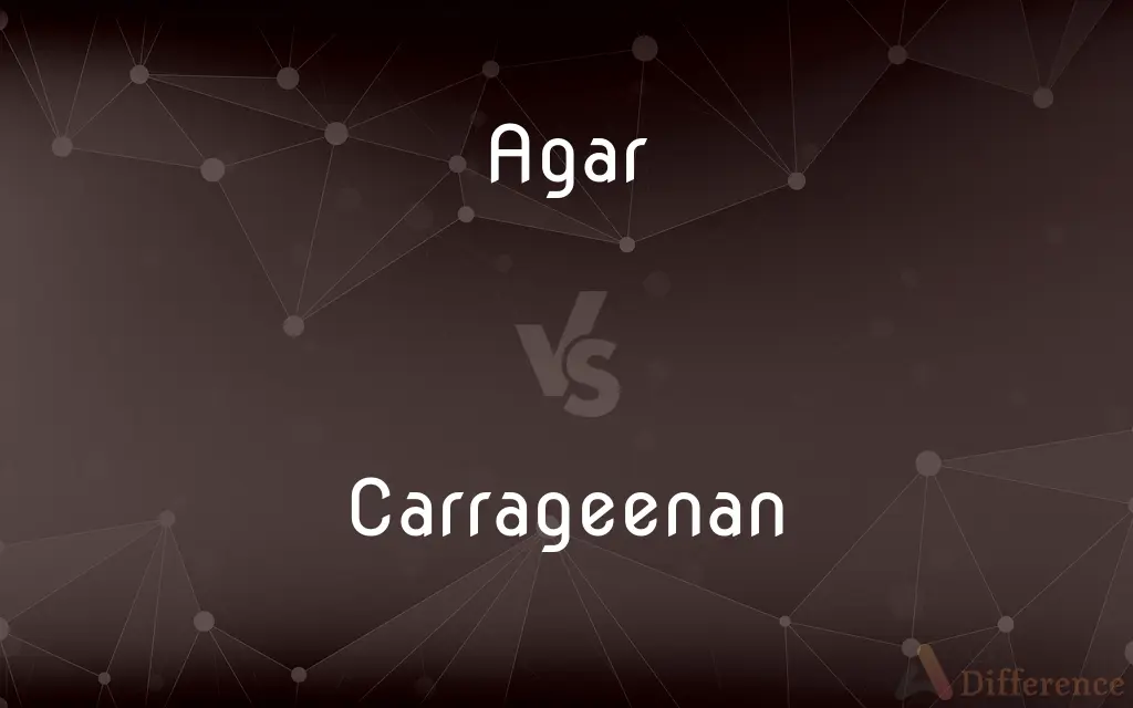 Agar vs. Carrageenan — What's the Difference?