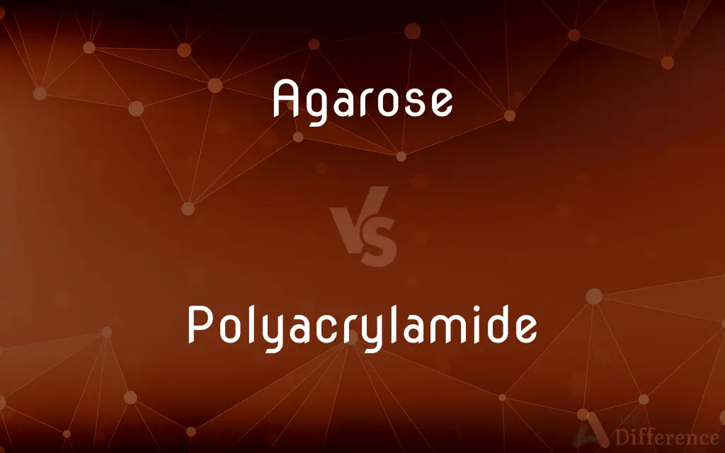 Agarose vs. Polyacrylamide — What's the Difference?