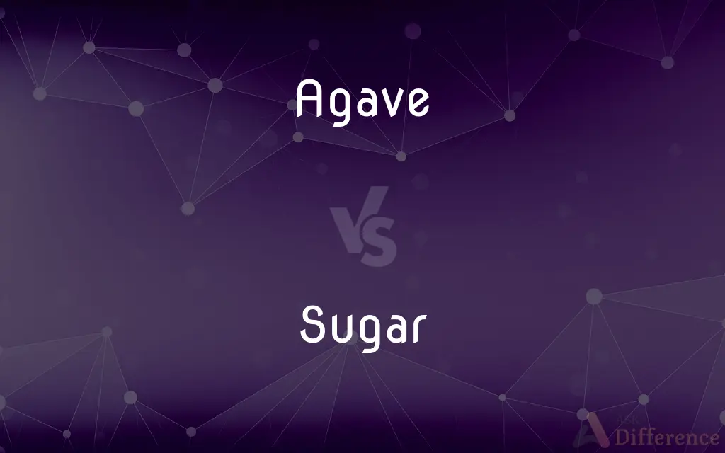 Agave vs. Sugar — What's the Difference?