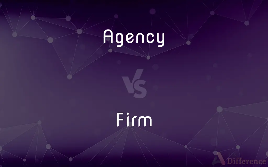 Agency vs. Firm — What's the Difference?