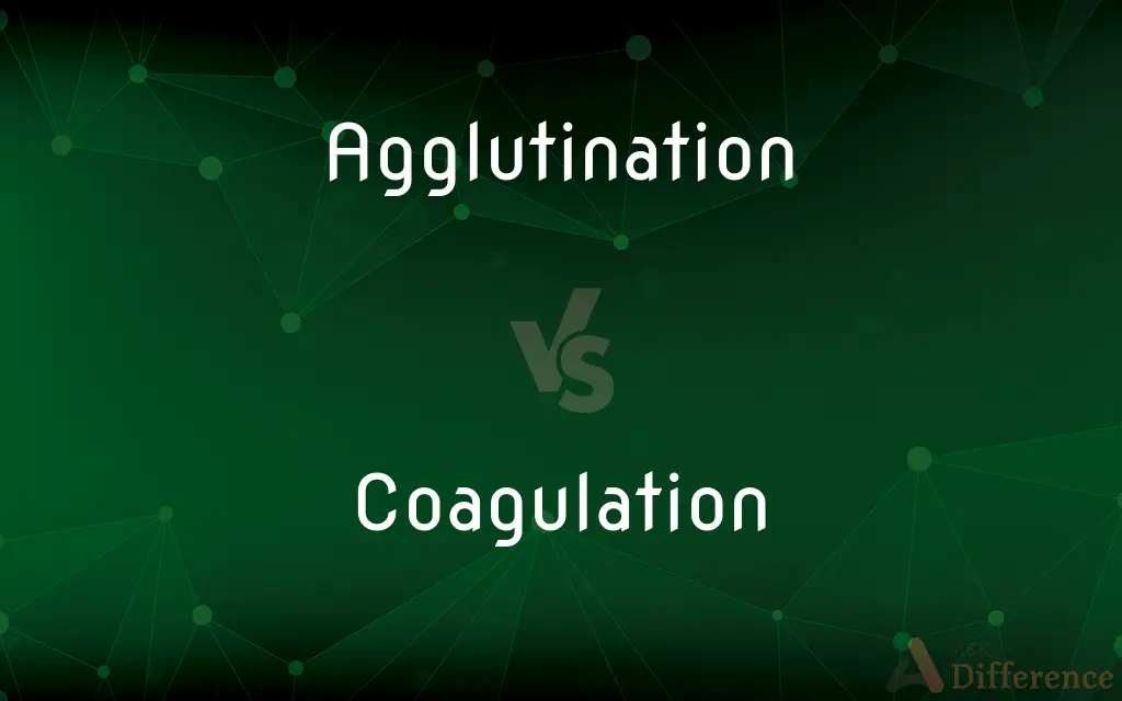 Agglutination vs. Coagulation — What's the Difference?