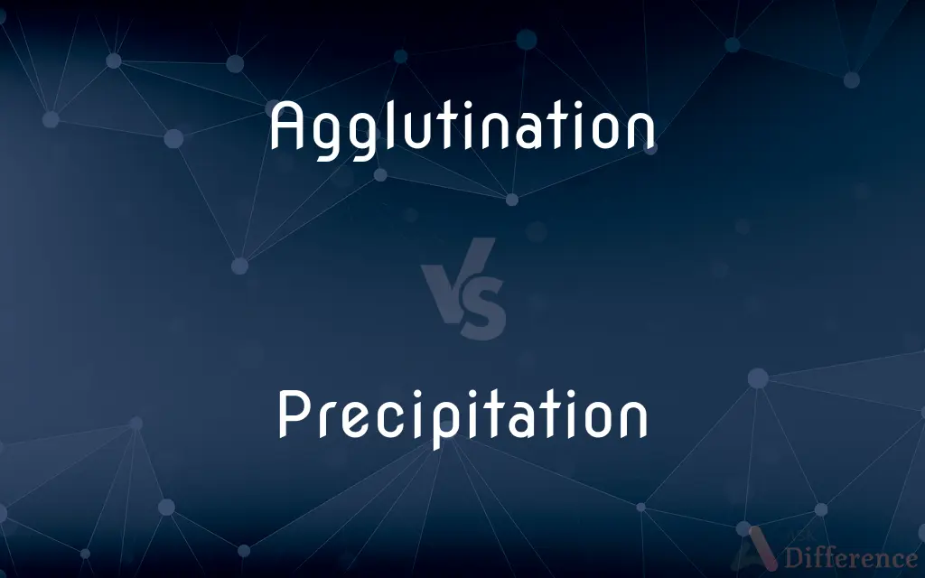 Agglutination vs. Precipitation — What's the Difference?
