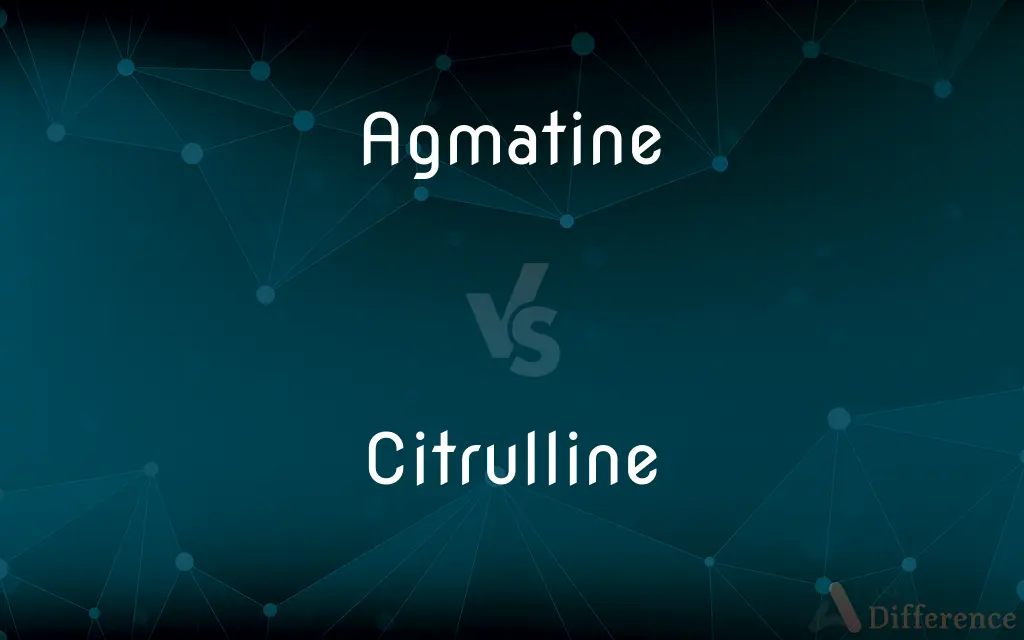 Agmatine vs. Citrulline — What's the Difference?