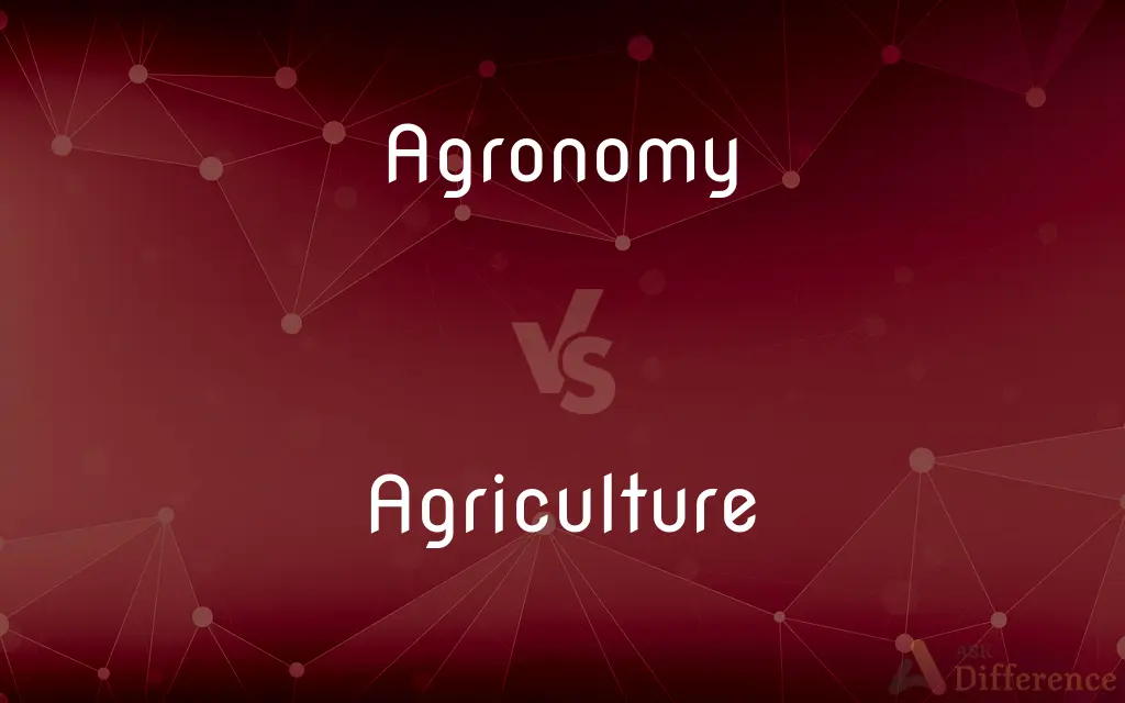 Agronomy vs. Agriculture — What's the Difference?