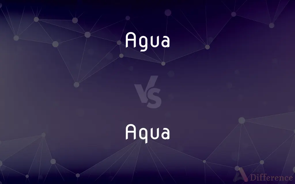 Agua vs. Aqua — What's the Difference?