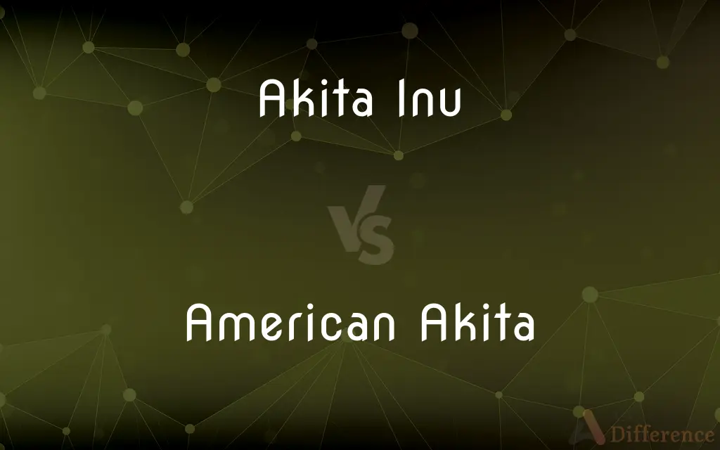 Akita Inu vs. American Akita — What's the Difference?