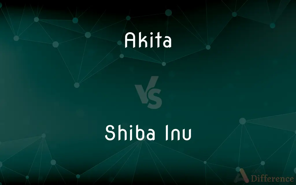 Akita vs. Shiba Inu — What's the Difference?