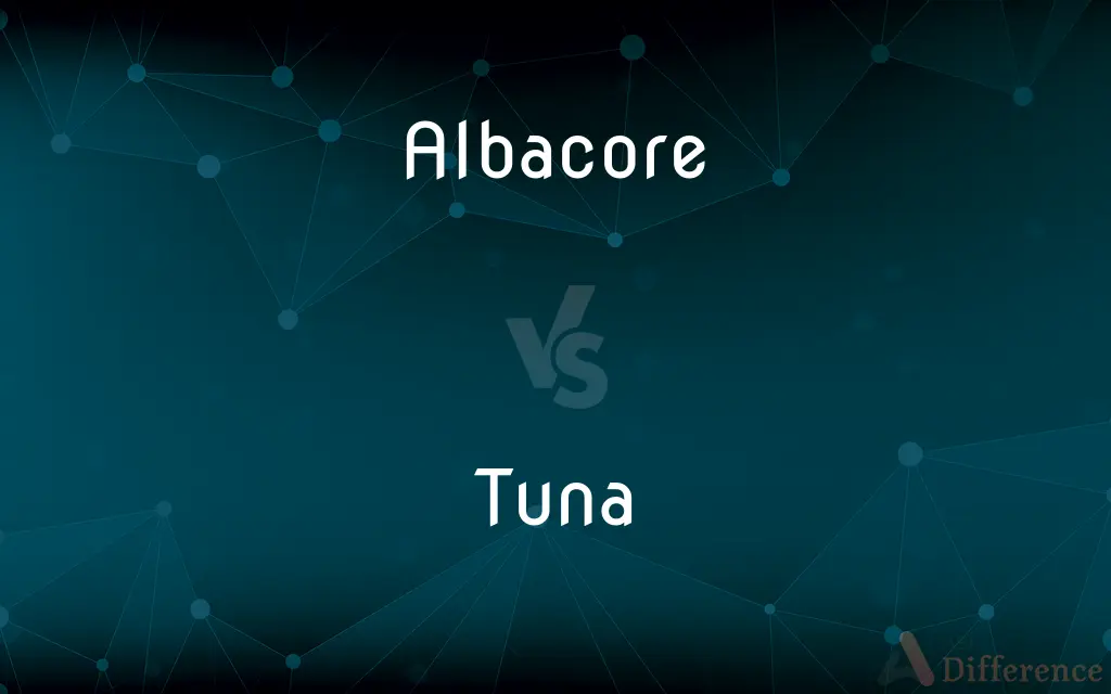 Albacore vs. Tuna — What's the Difference?