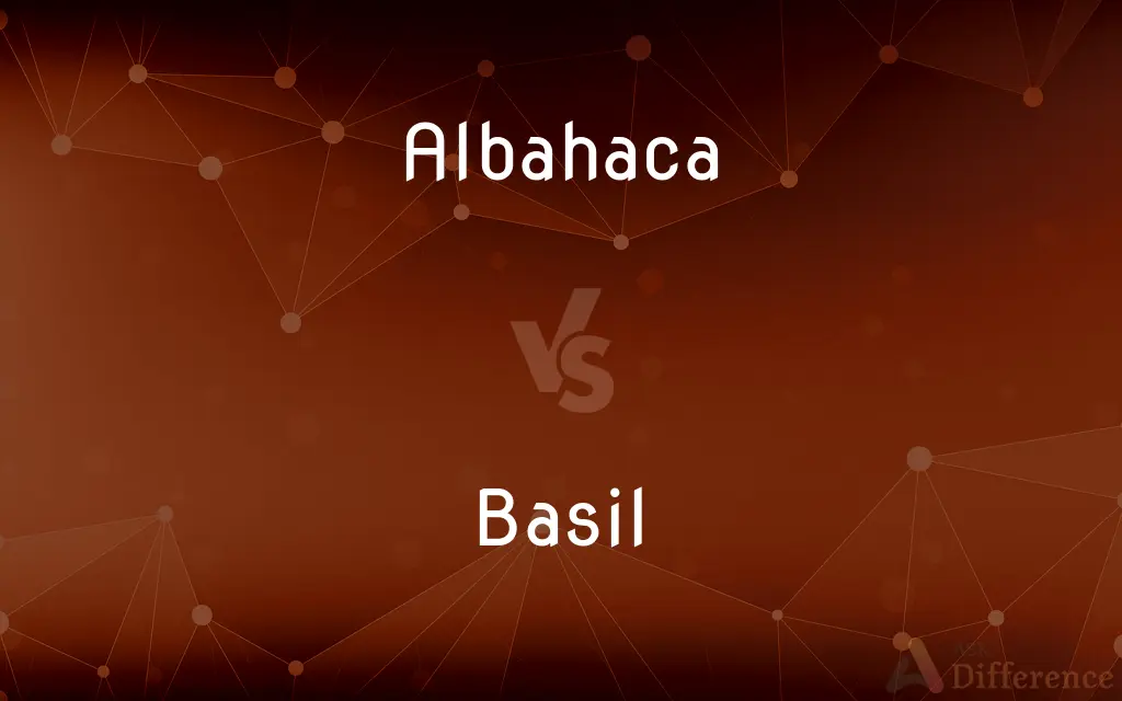 Albahaca vs. Basil — What's the Difference?