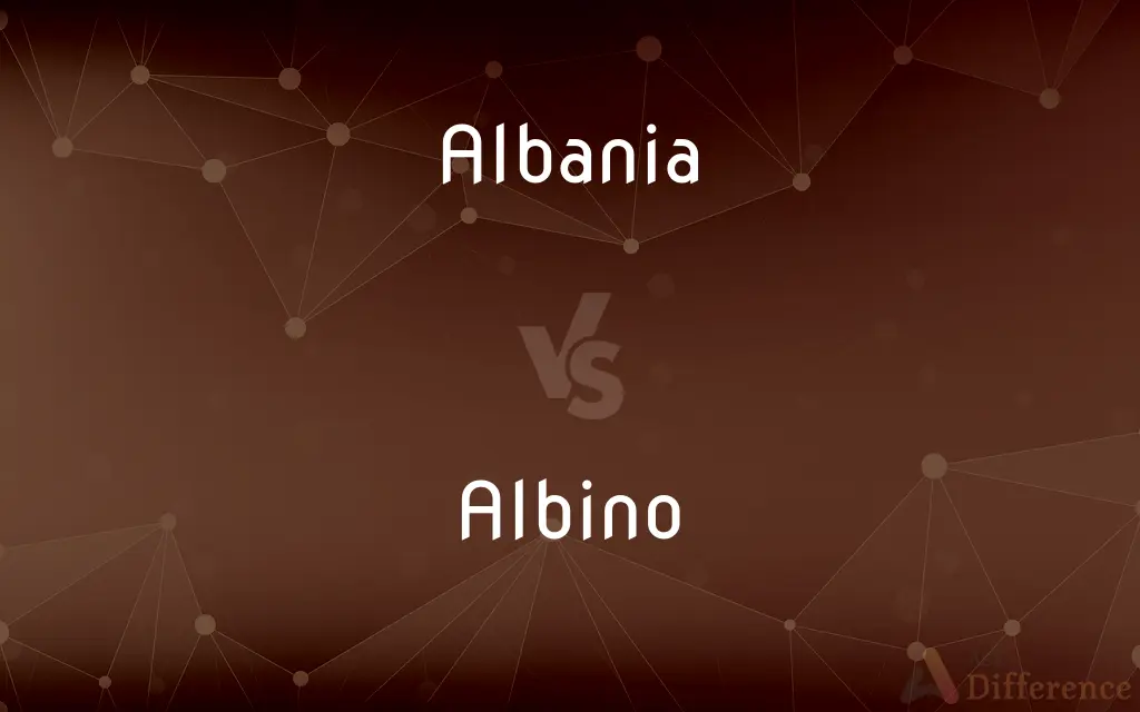 Albania vs. Albino — What's the Difference?