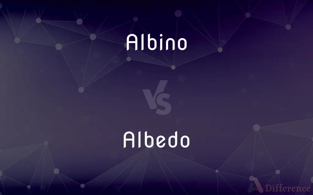 Albino vs. Albedo — What's the Difference?
