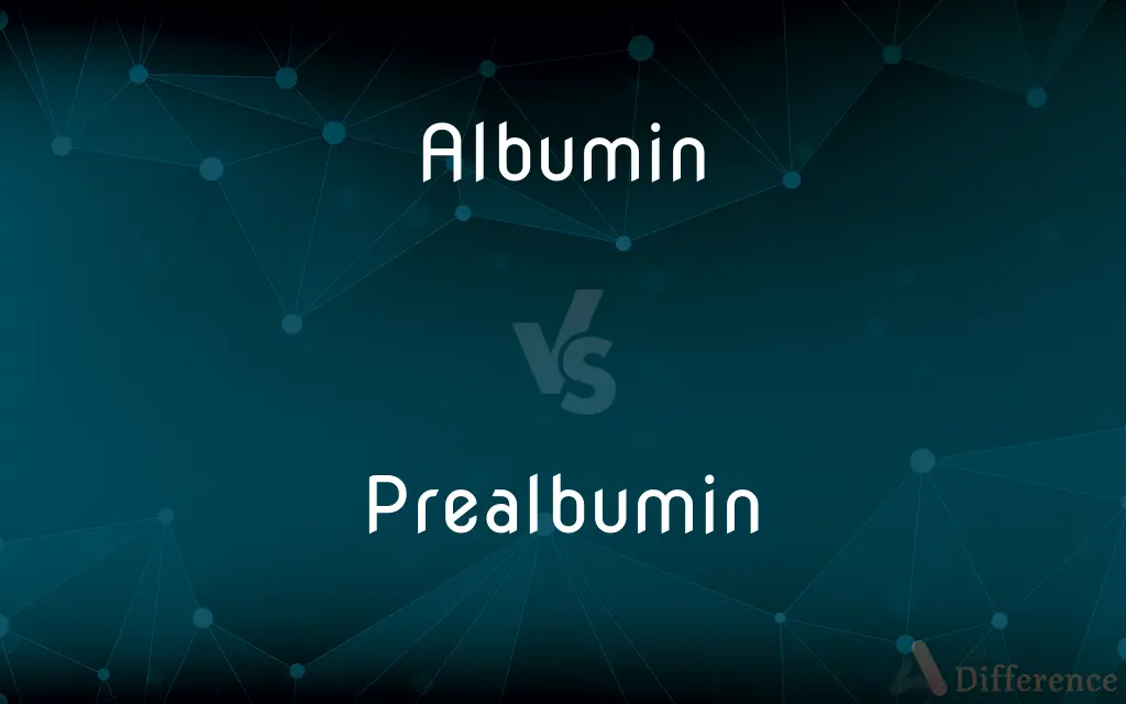 Albumin vs. Prealbumin — What's the Difference?