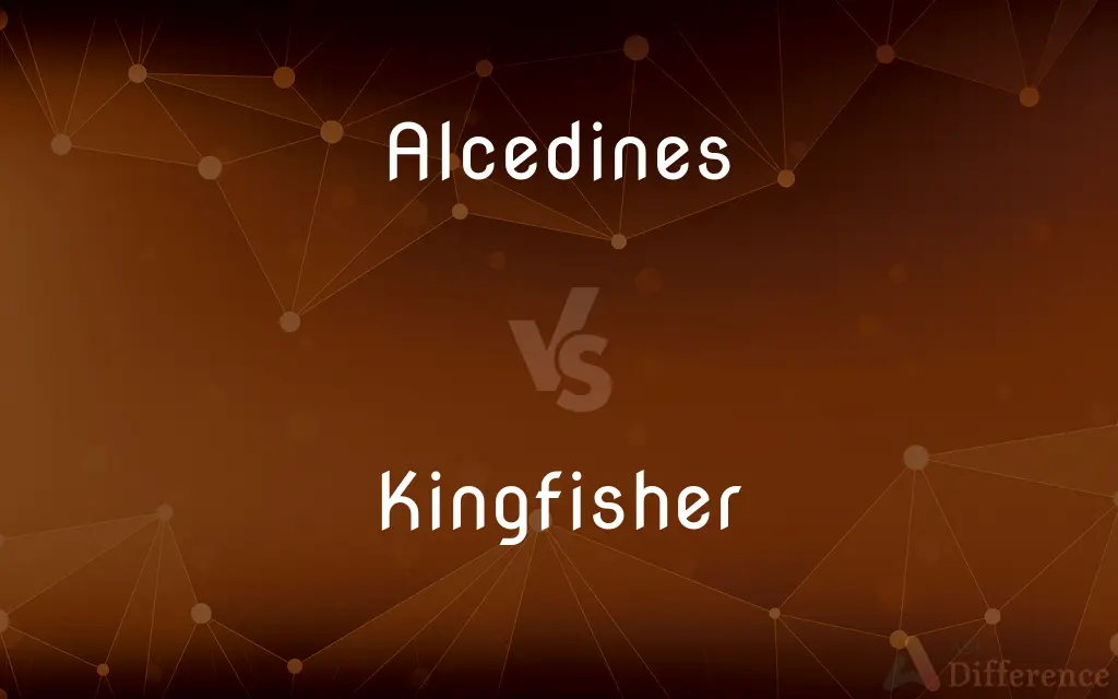 Alcedines vs. Kingfisher — What's the Difference?
