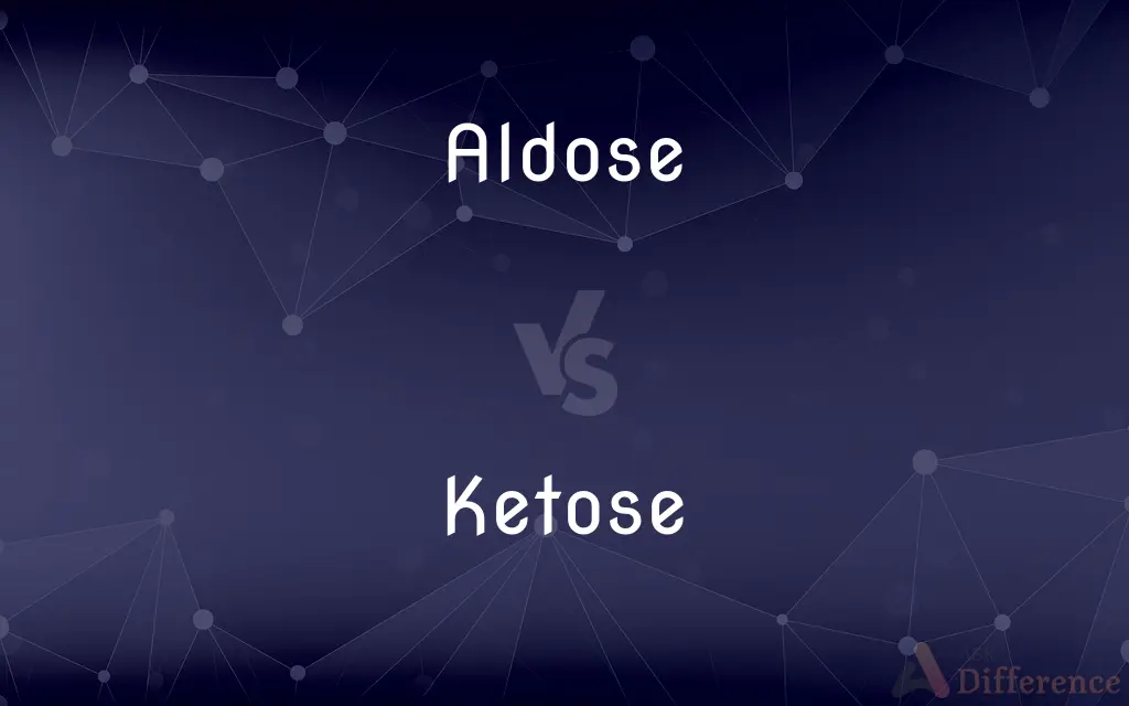 Aldose vs. Ketose — What's the Difference?