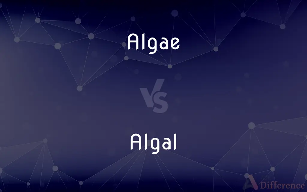 Algae vs. Algal — What's the Difference?