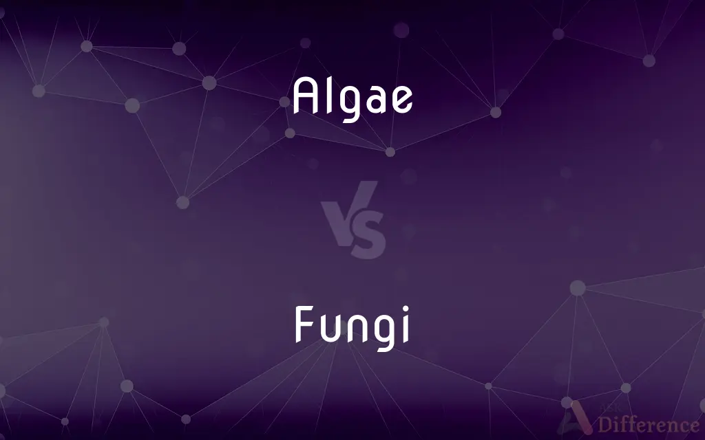 Algae vs. Fungi — What's the Difference?