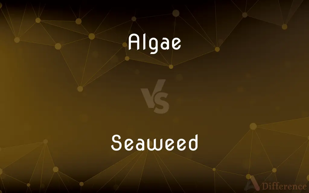 Algae vs. Seaweed — What's the Difference?