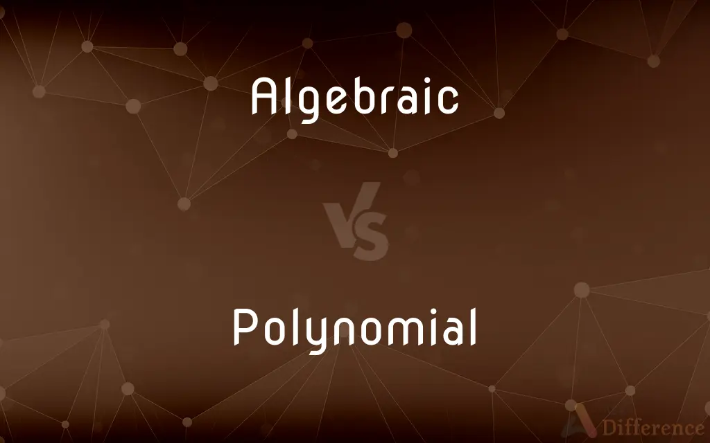 Algebraic vs. Polynomial — What's the Difference?