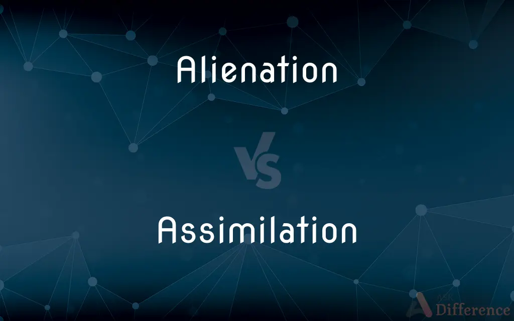 Alienation vs. Assimilation — What's the Difference?