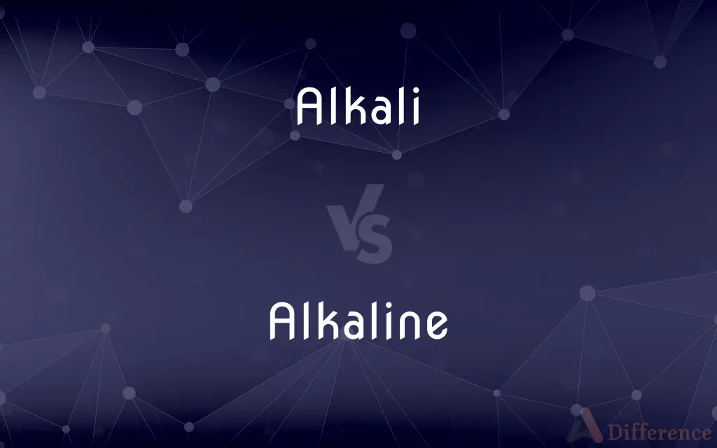 Alkali vs. Alkaline — What's the Difference?