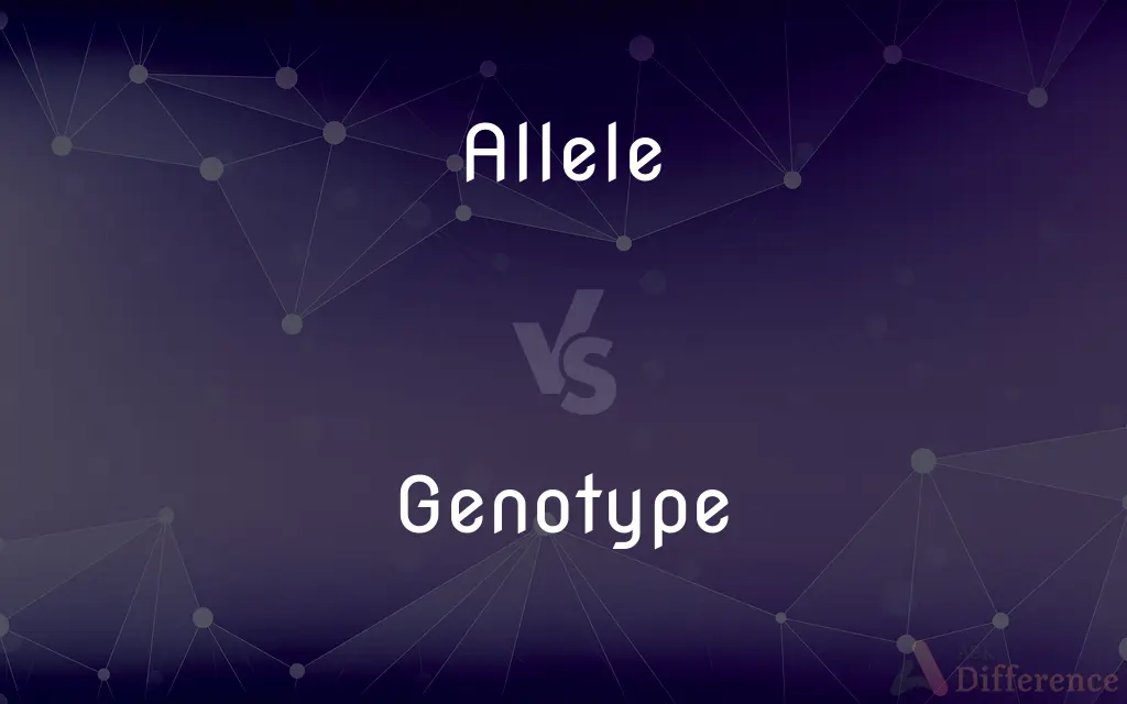 Allele vs. Genotype — What's the Difference?