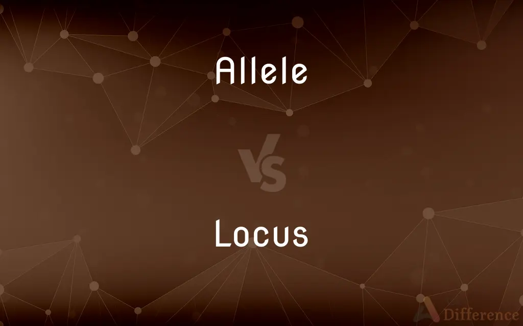 Allele vs. Locus — What's the Difference?