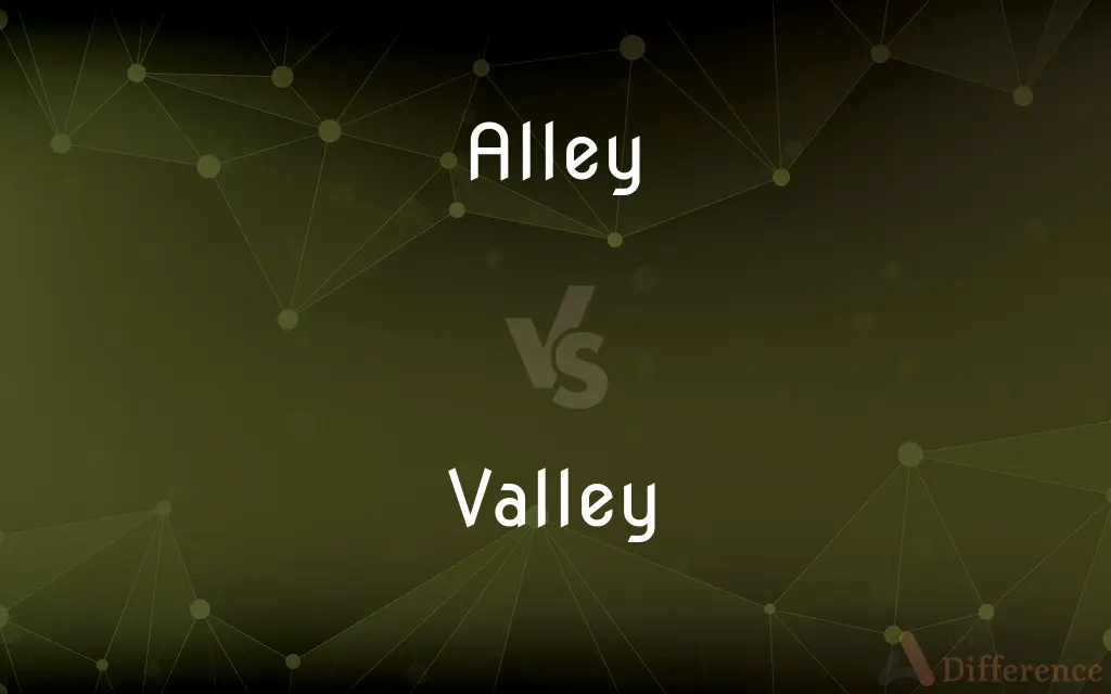 Alley vs. Valley — What's the Difference?