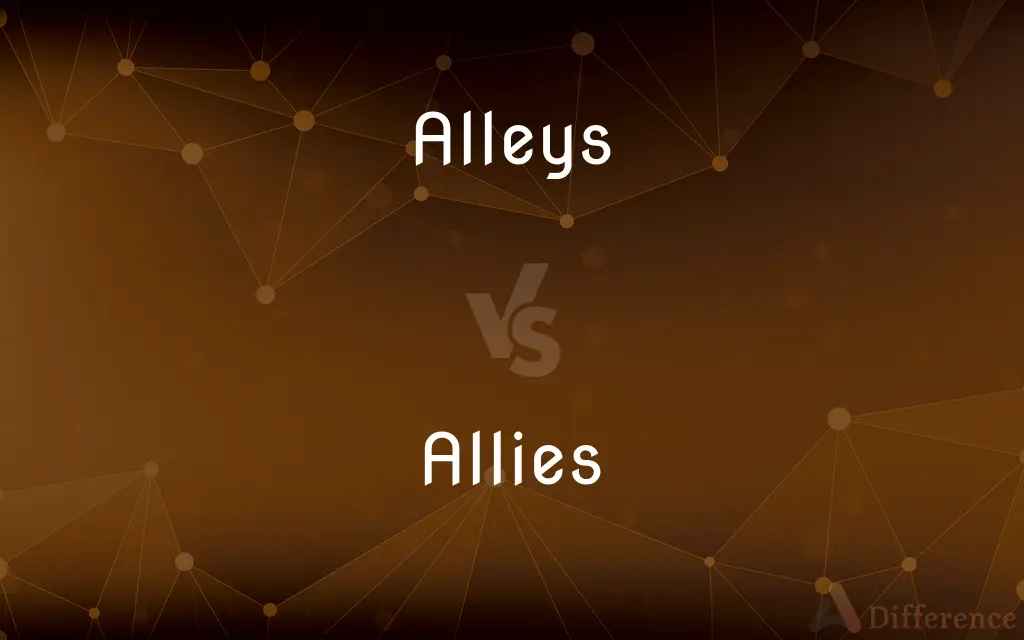 Alleys vs. Allies — What's the Difference?