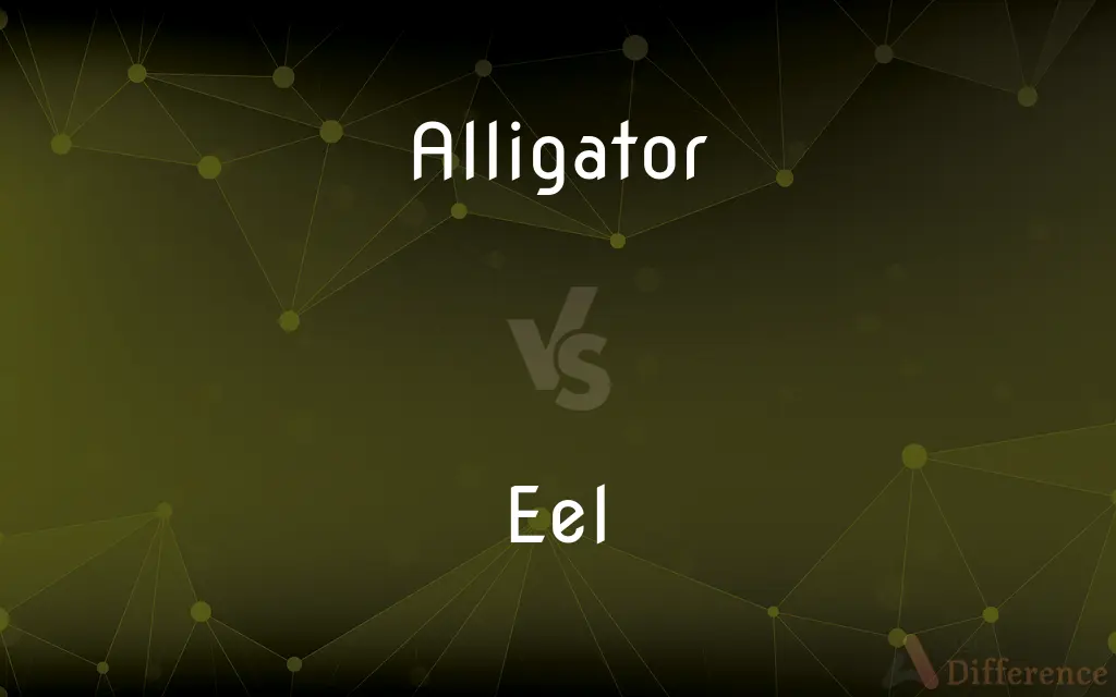 Alligator vs. Eel — What's the Difference?