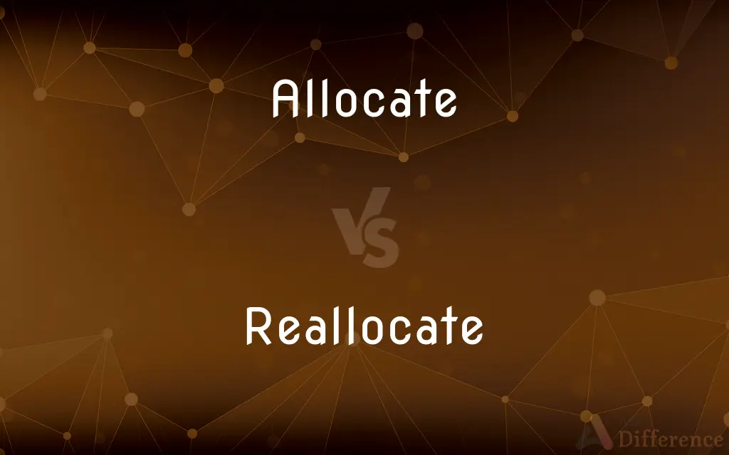 Allocate vs. Reallocate — What's the Difference?