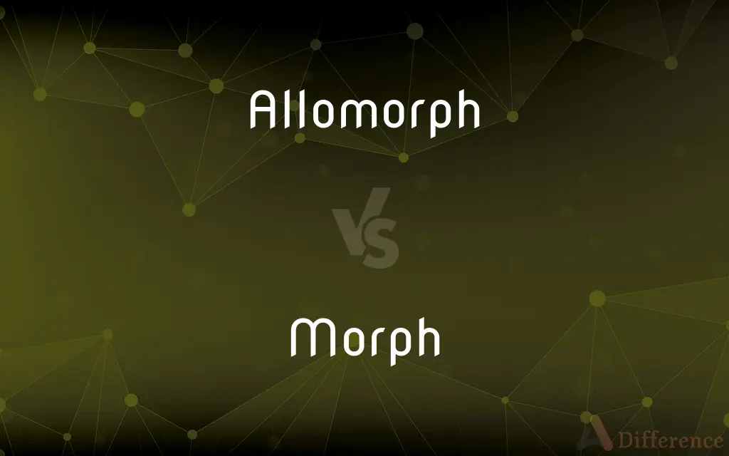Allomorph vs. Morph — What's the Difference?
