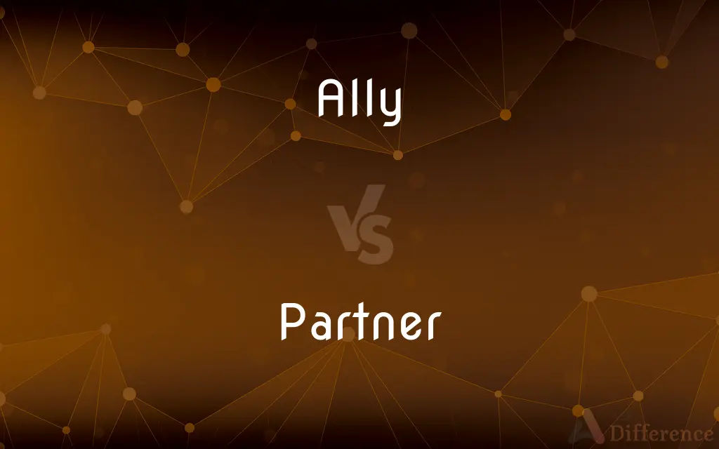 Ally vs. Partner — What's the Difference?