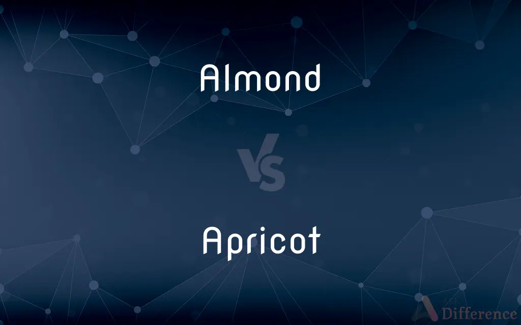 Almond vs. Apricot — What's the Difference?
