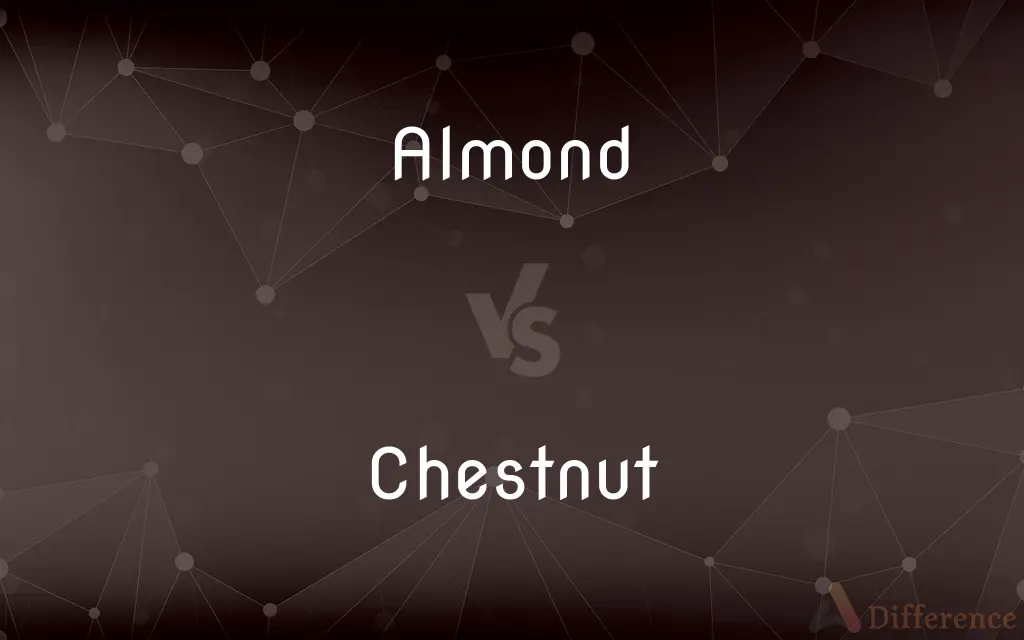 Almond vs. Chestnut — What's the Difference?