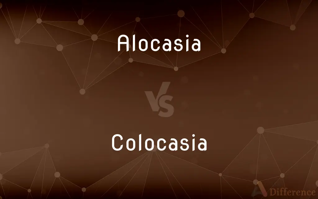 Alocasia vs. Colocasia — What's the Difference?