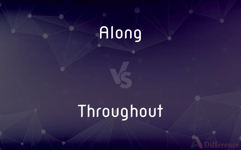 Along vs. Throughout — What's the Difference?