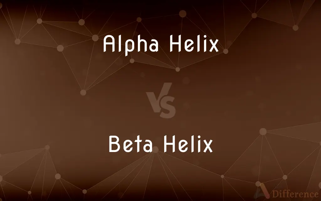 Alpha Helix vs. Beta Helix — What's the Difference?