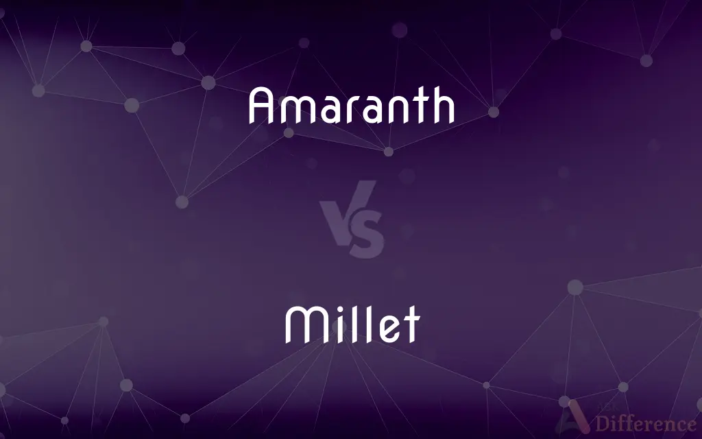 Amaranth vs. Millet — What's the Difference?