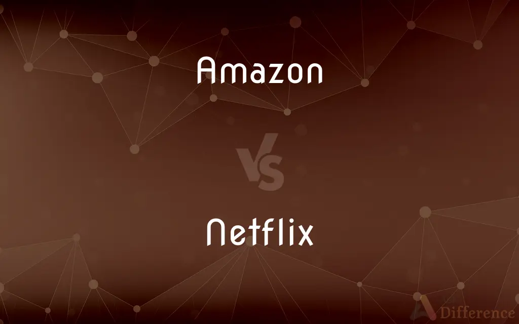 Amazon vs. Netflix — What's the Difference?