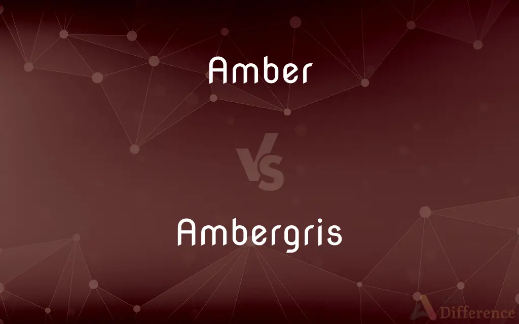Amber vs. Ambergris — What's the Difference?