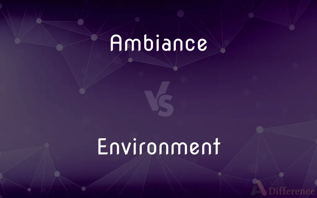 Ambiance vs. Environment — What's the Difference?