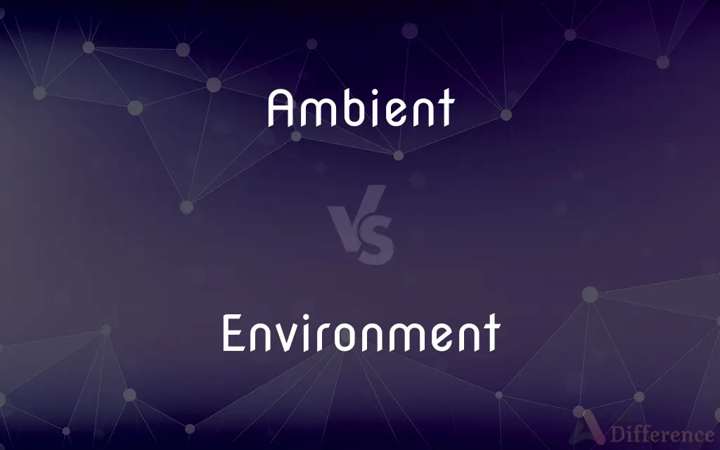 Ambient vs. Environment — What's the Difference?