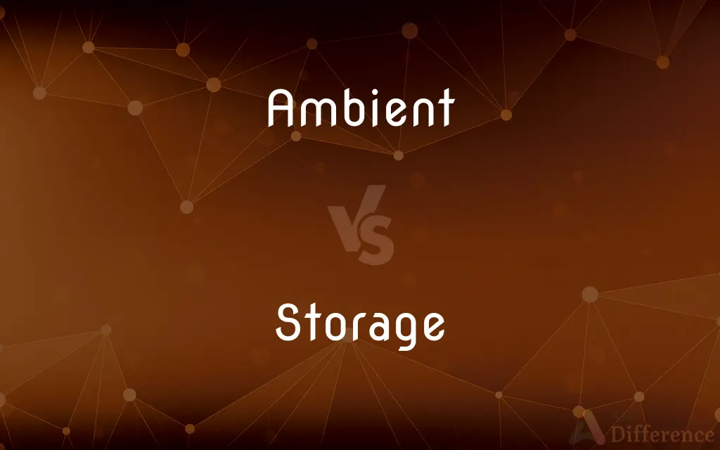 Ambient vs. Storage — What's the Difference?