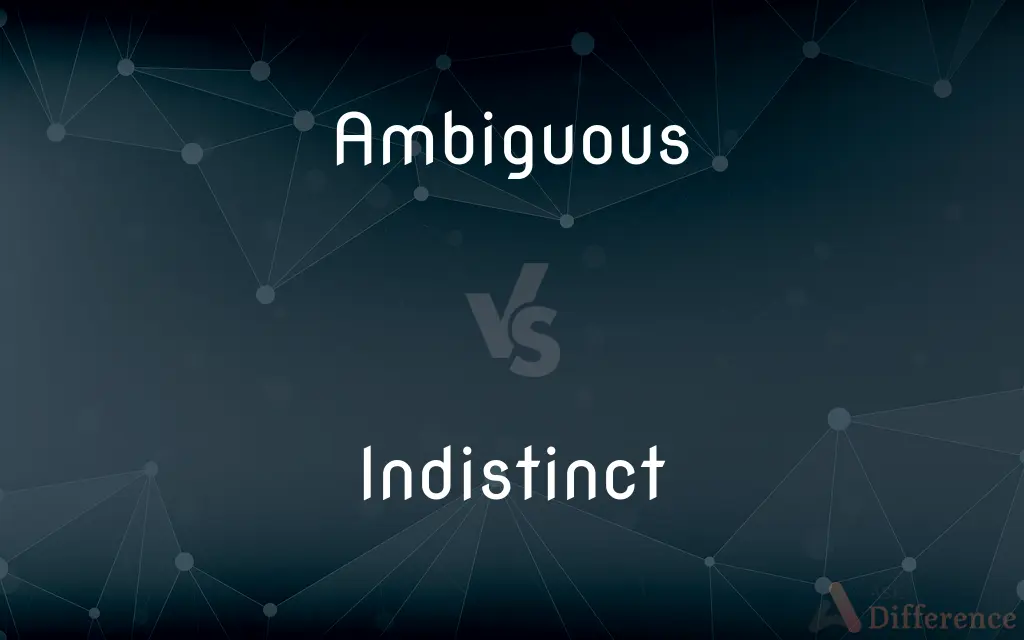 Ambiguous vs. Indistinct — What's the Difference?